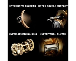 Daiwa 21 Basara IC 250PL