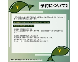 Shimano 13 Stella SW 6000HG