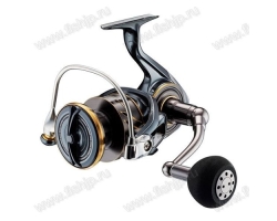 Daiwa 22 Caldia SW 8000-P