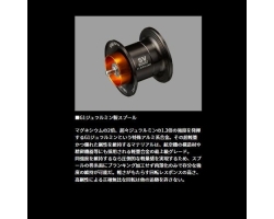 Daiwa 24 Steez SV TW 100H