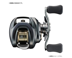 Daiwa 26 Steez SV Light TW 100HL