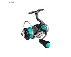 Daiwa 21 Emeraldas Air FC LT2500S