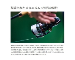 Shimano 24 Vanford C2500SXG