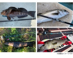 TULALA×ISM Tarompe 86C