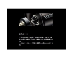 Daiwa 24 Steez SV TW 100H