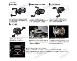 Daiwa 21 Tatula TW 300XHL