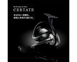 Daiwa 24 Certate LT5000D