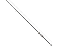 Tailwalk AJIST TZ S66/SL