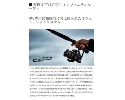 Shimano 22 Stella SW 10000HG