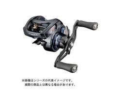 Daiwa 21  STEEZ A TW HLC 6.3L