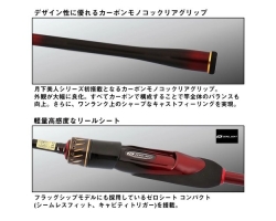 Daiwa 25  Gekkabijin MX 76LB-T・J