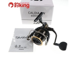 Daiwa Caldia SW 6000S-H /D100M (2022)