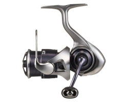 Daiwa 25 Caldia FC LT1000S