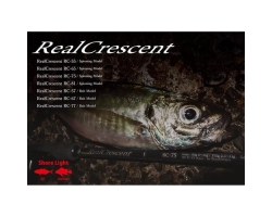 Ripple Fisher Real Crescent RC-81/S