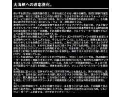 Daiwa 24 Certate SW 5000-H