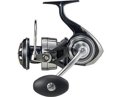Daiwa 21 Certate SW 8000-H
