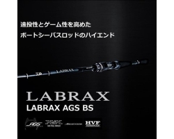 Daiwa 22 LABRAX  AGS BS 68MB･Q