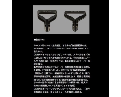 Daiwa 24 Steez SV TW 100H