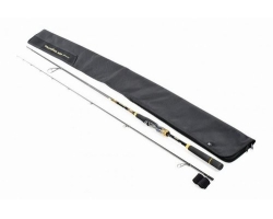 Daiwa 22 Morethan Branzino EX AGS 94LML