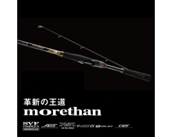 Daiwa 25 Morethan 90MLM・J