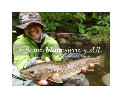 Fishman Beams Blancsierra 5.2UL