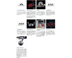 Shimano 21 Twin Power SW 6000HG