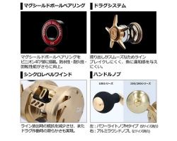 Daiwa 21 Basara 100L