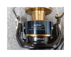Daiwa 20 Saltiga 8000-H
