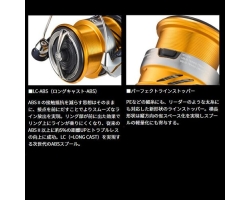 Daiwa 20 Revros LT1000S