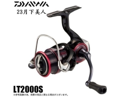 Daiwa 23 GEKKABIJIN LT2000S