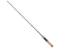 Jackson Kawasemi Rhapsody KWSM-C43UL-G