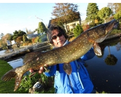 Tulala Portamento 200B