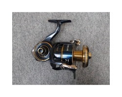Daiwa 20 Saltiga 8000-P