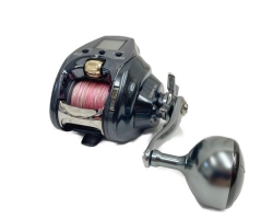 Daiwa SEABORG 21 300J (2021)