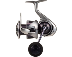 Daiwa 25 Caldia LT5000-C
