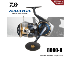 Daiwa 25 Saltiga 8000-H