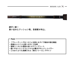 Daiwa 25 Bishiaji X MH-170・J
