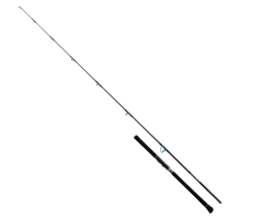 DAIWA 24 SALTIGA BREAKTHROUGH C80-5