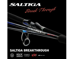 DAIWA 24 SALTIGA BREAKTHROUGH C80-5