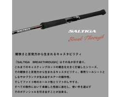 DAIWA 24 SALTIGA BREAKTHROUGH C83-6