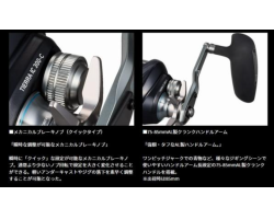 DAIWA 25 TIERRA IC 300L-C