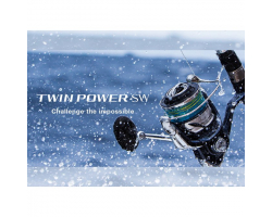 Shimano 21 Twin Power SW 6000PG