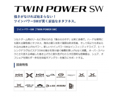 Shimano 21 Twin Power SW 6000HG