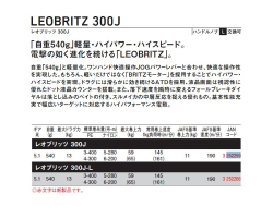 Daiwa  23 Leobritz 300J
