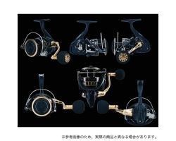 Daiwa 23 BG SW 6000D-P