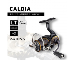 Daiwa 21 Caldia LT4000-CXH