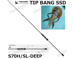 Tailwalk 20 TIP BANG SSD S70H/SL-DEEP