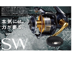 Shimano 15 Twin Power SW 8000PG