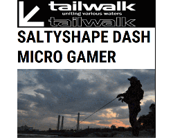 Tailwalk SALTYSHAPE DASH Micro Gamer S76UL