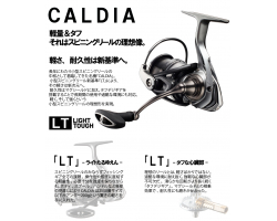 Daiwa Caldia 18 LT6000D